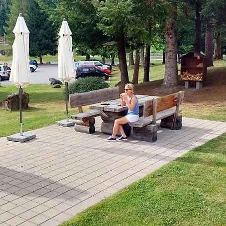 Disentiserhof Mila *