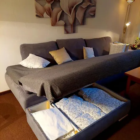 Disentiserhof Mila Apartment *