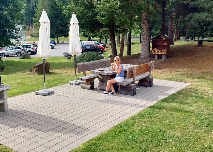 Disentiserhof Mila *