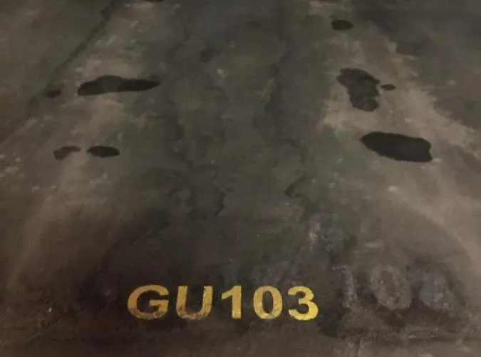 Daire Disentiserhof Mila