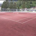 Disentiserhof Mila *