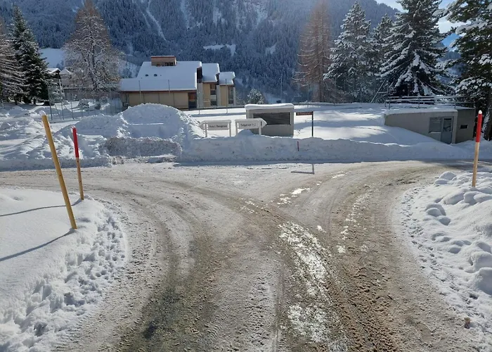 Disentiserhof Mila *